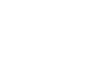 Ethica Fertility Logo