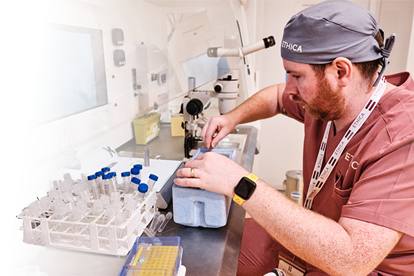 fertility-investigations-home-flip